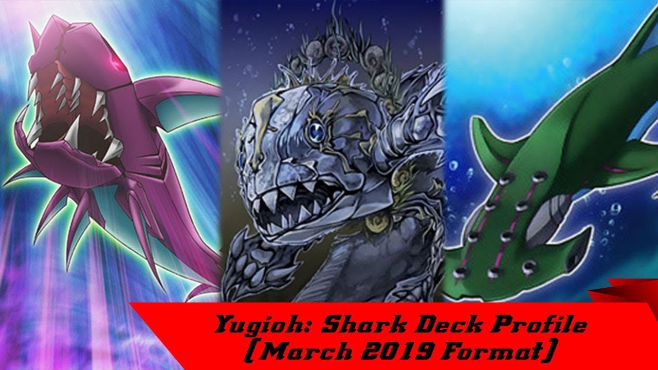 Yugioh: Shark Deck Profile (March 2019 Format)