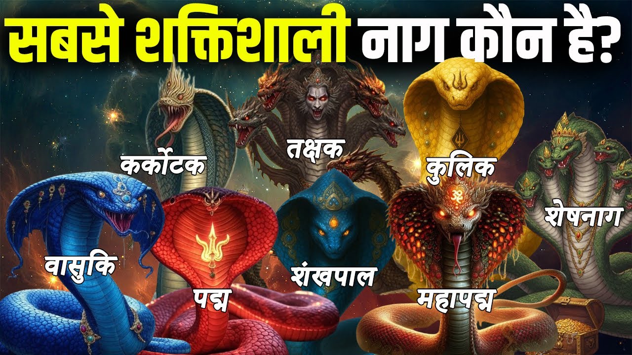 हिंदू धर्म के 8 सबसे शक्तिशाली नाग? 😱 No.1 से तो भगवान भी कांपते हैं! | 8 Most Powerful Snakes