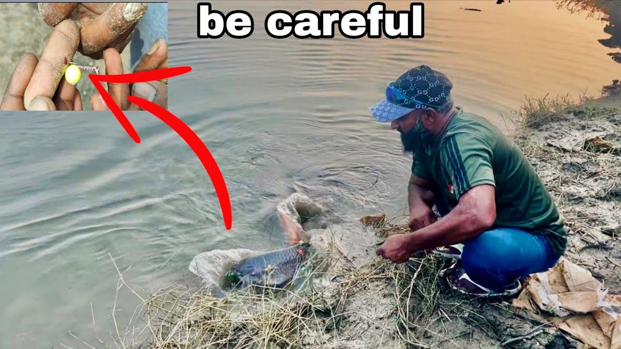 fish fishing videos | how to use fedeer | new fishing videos | fedar fishing techniques 