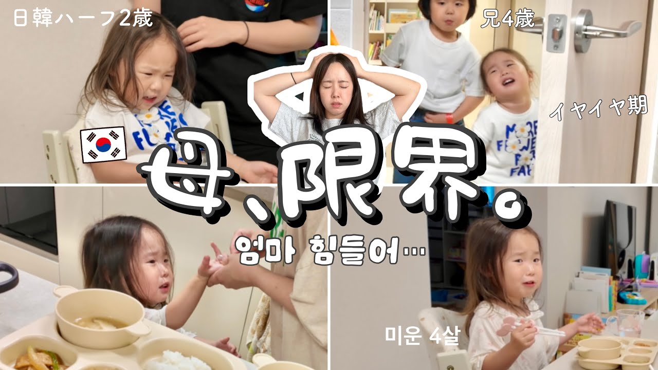 イヤイヤ期MAX、、母のワンオペ限界VLOG 아빠 출장 3일째….. 독박 육아 브이로그
