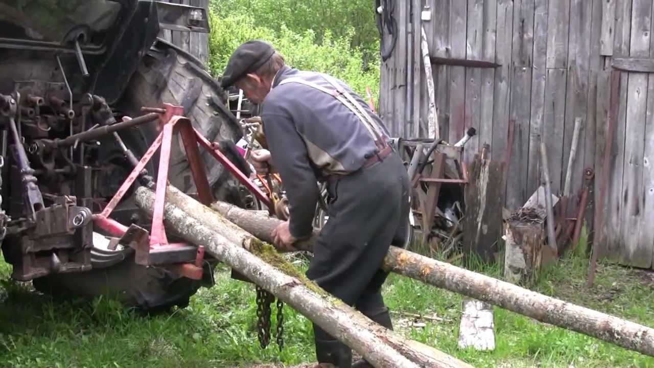 Reino Halin - metsäperinteen taitaja. Aihe 9: Metsälehmus ja niiniköyden pudonta