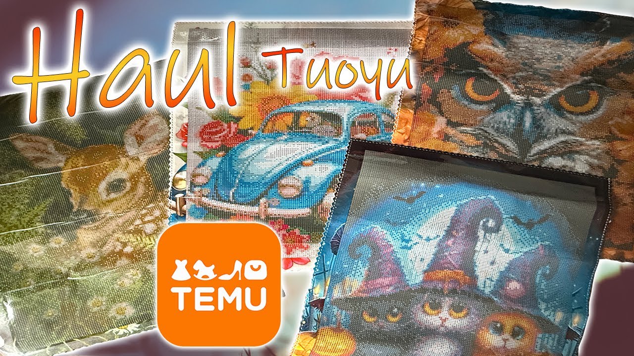 TEMU Haul | Hochwertige Bilder von TUOYU mit Eckigen Harzsteinchen zu günstigen Preisen!