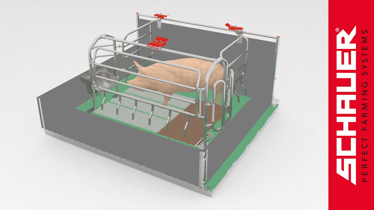 Produktvideo Wingfree Bewegungs-Abferkelbucht