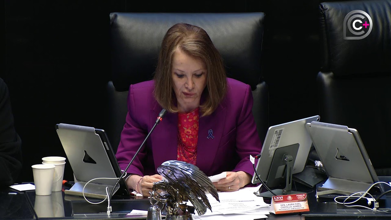 Sesi&oacute;n vespertina de la C&aacute;mara de Senadores, del 25 de marzo de 2026
