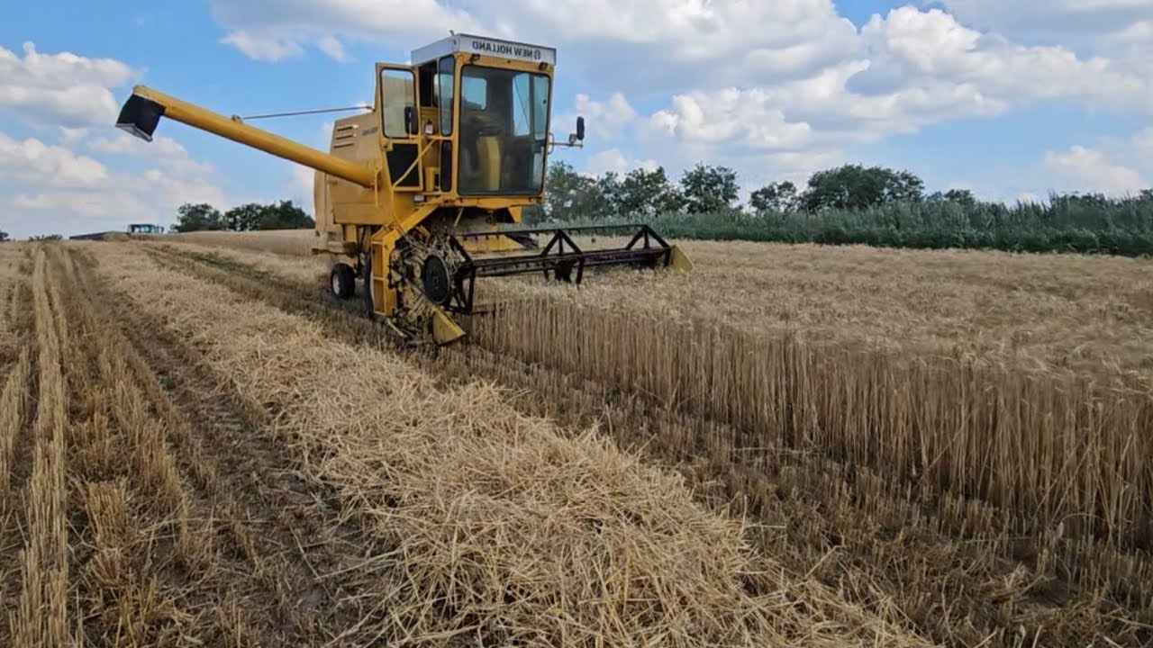 New Holland clayson 2025 búza aratás folytatàs