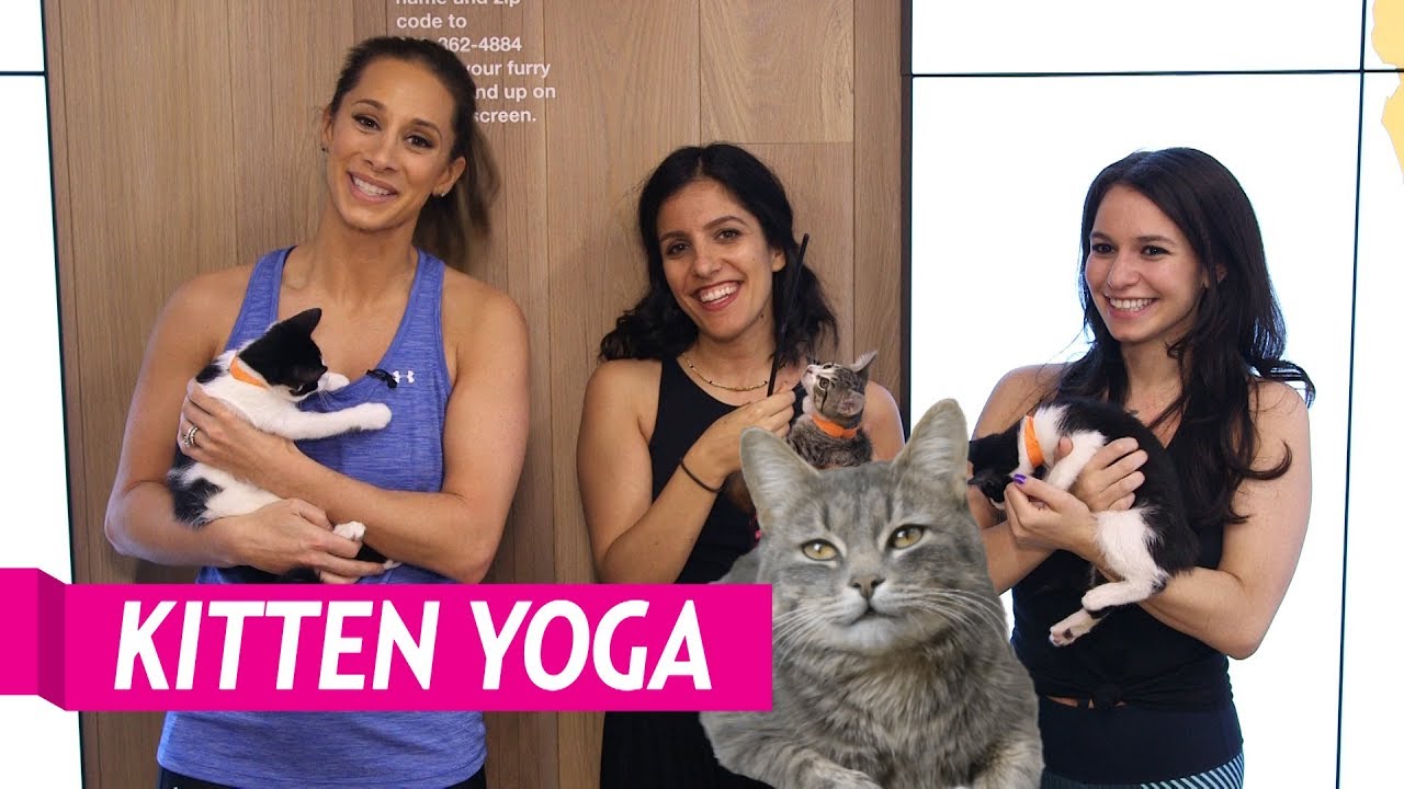 WE TRIED IT: KITTEN YOGA