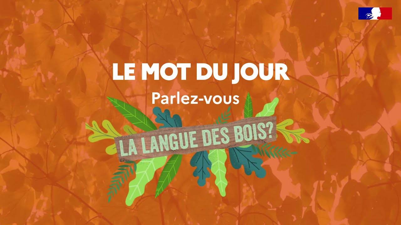 Le débardage, c'est quoi ?