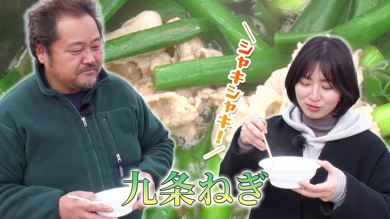 JA京都やましろ「九条ねぎ」吉川和孝さん (久御山町)｜KBS京都テレビ「あぐり京都」 2026年2月放送