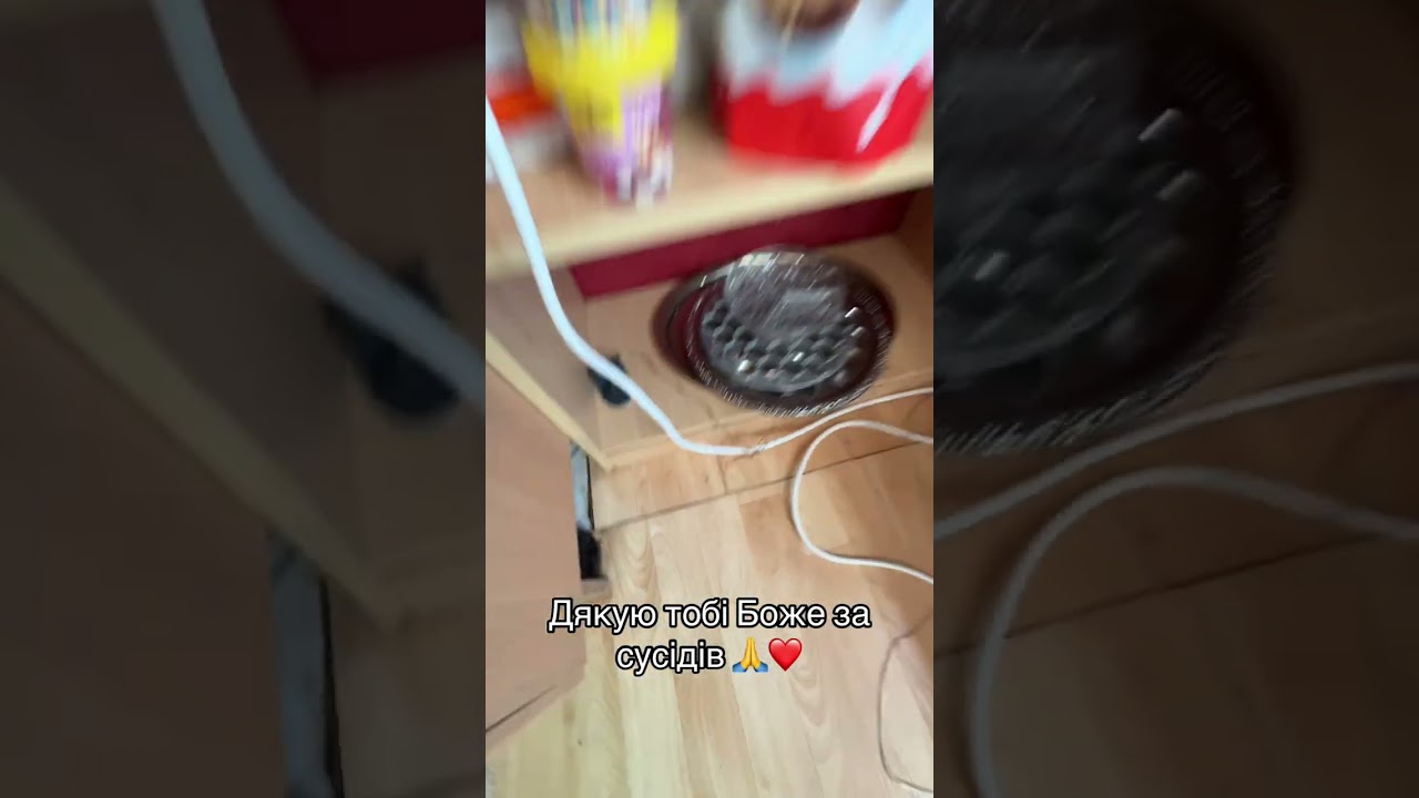 У мене завелись миши 