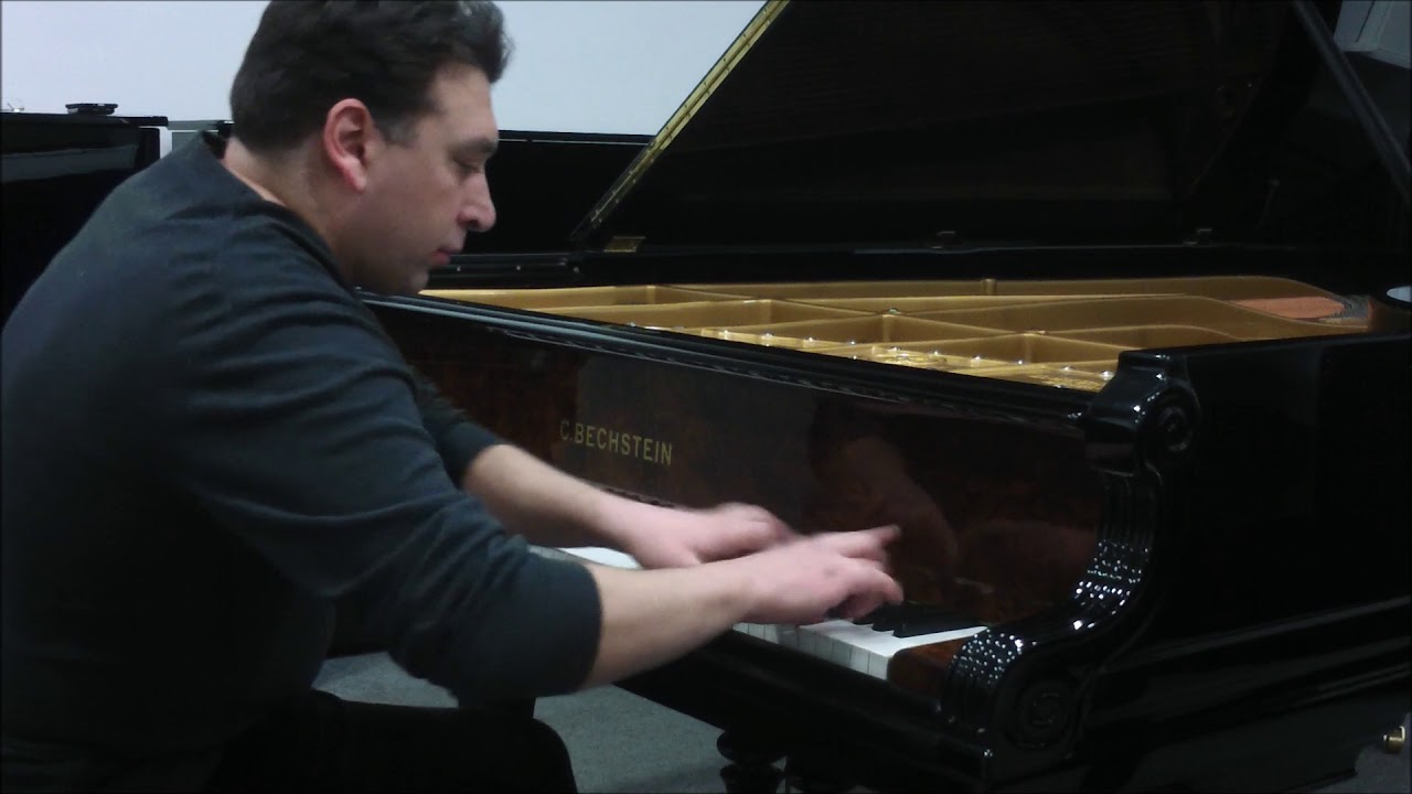 Grand Piano C. Bechstein model D fully restored