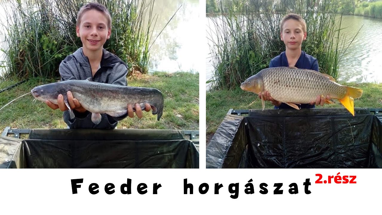 Feeder horgászat 2.rész Préri-tó