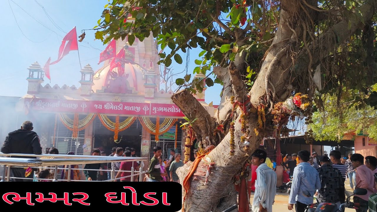 ભમ્મર ઘોડા ની માં મેલડી નો ઇતિહાસ / Bhammar Ghoda Meldi Ma No Itihas
