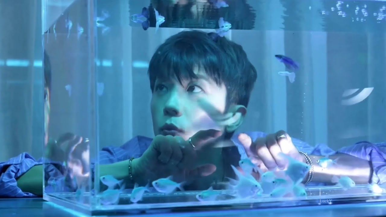 장우영 콘서트 HALF half in Japan VCR 