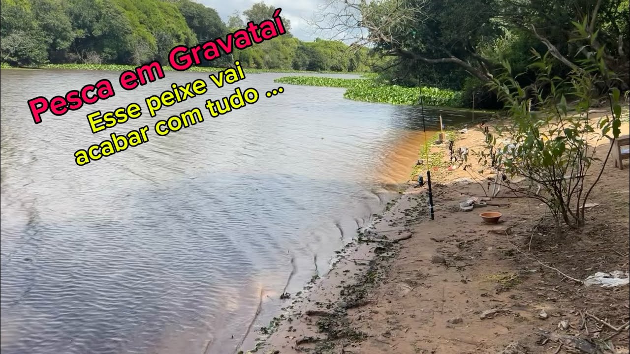 Pescaria em Gravataí… Esse peixe tomou conta das águas!!