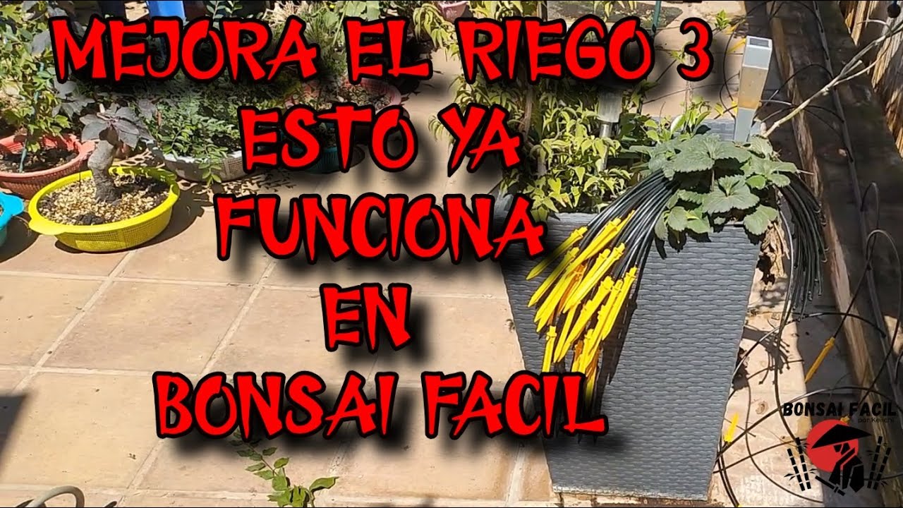 Acabando el riego de Bonsai Facil - Parte 3