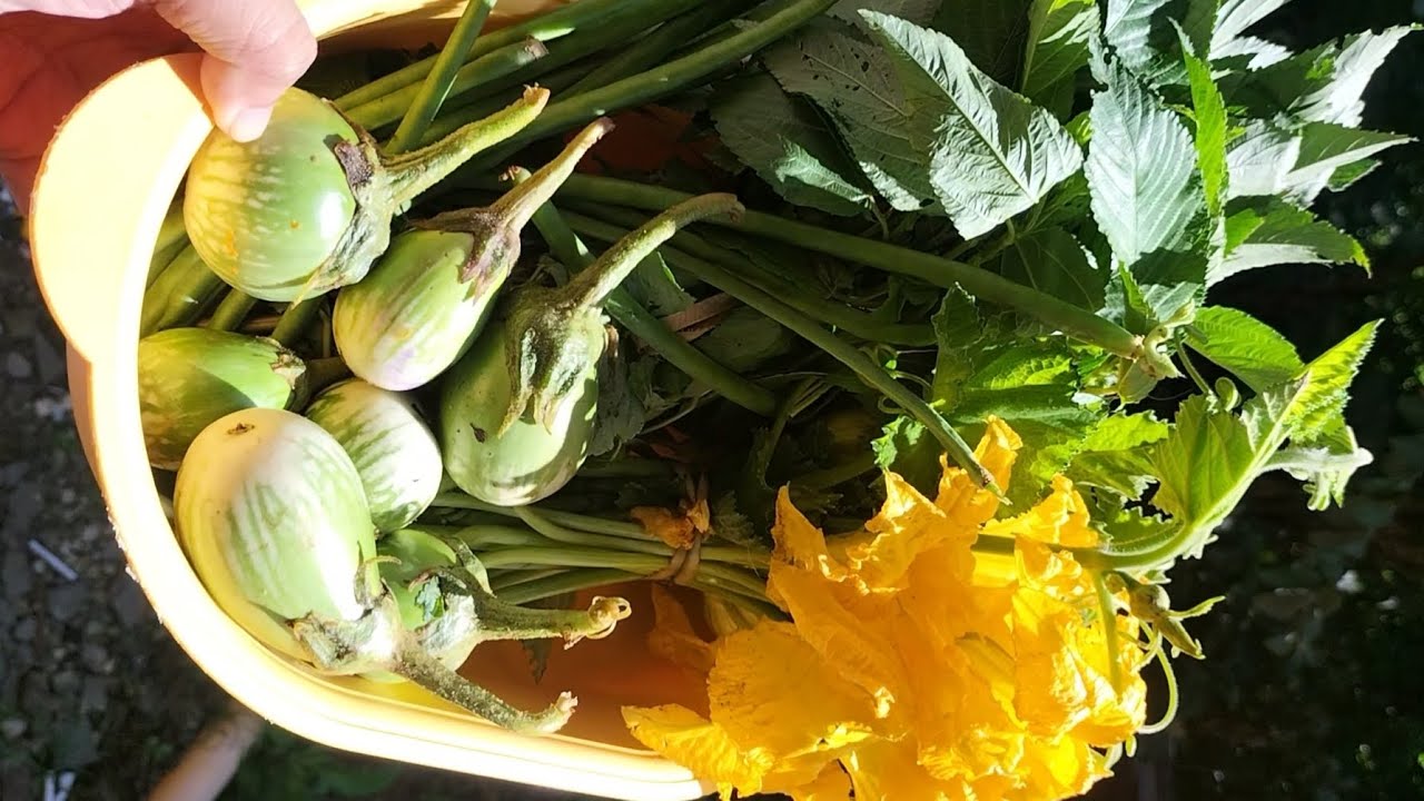 ANG SARAP NG HALO-HALONG GULAY #cooking #lifeintheprovince
