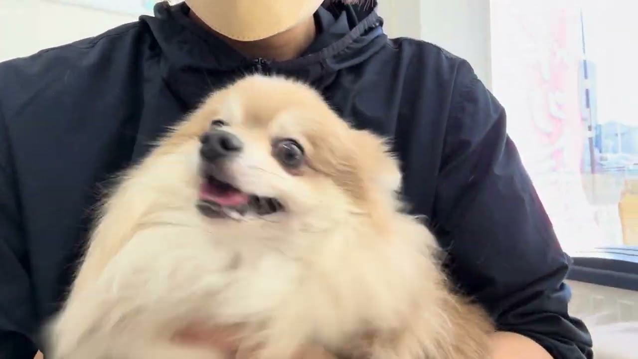 ふくちゃん、ハルちゃん、あらびきくん、ゆずちゃん、りんくん！