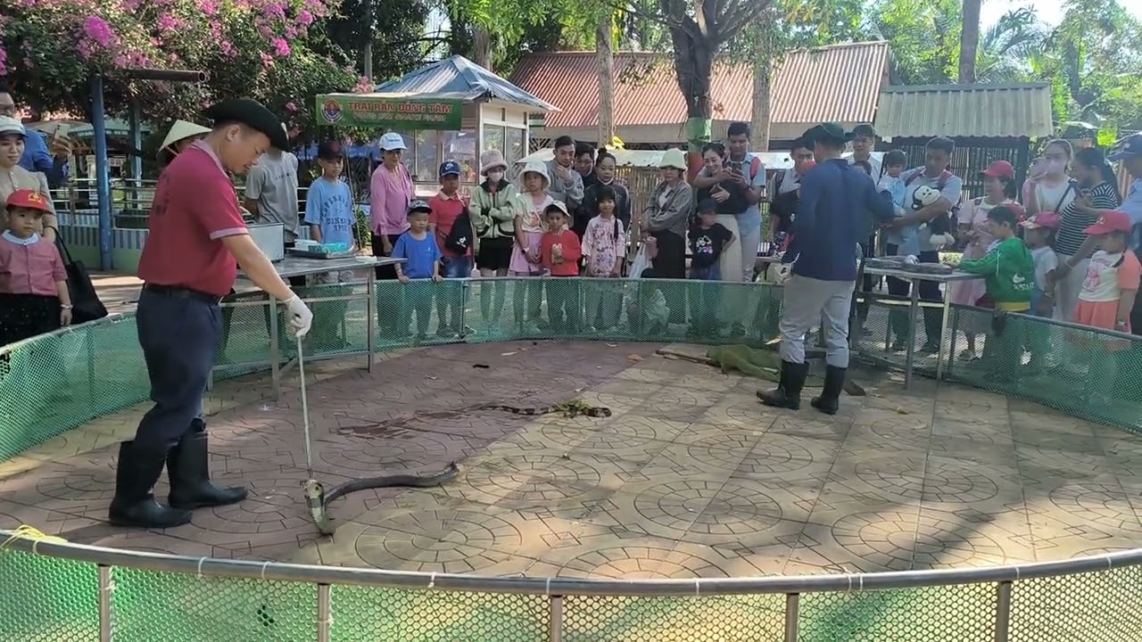 TRẠI RẮN ĐỒNG TÂM