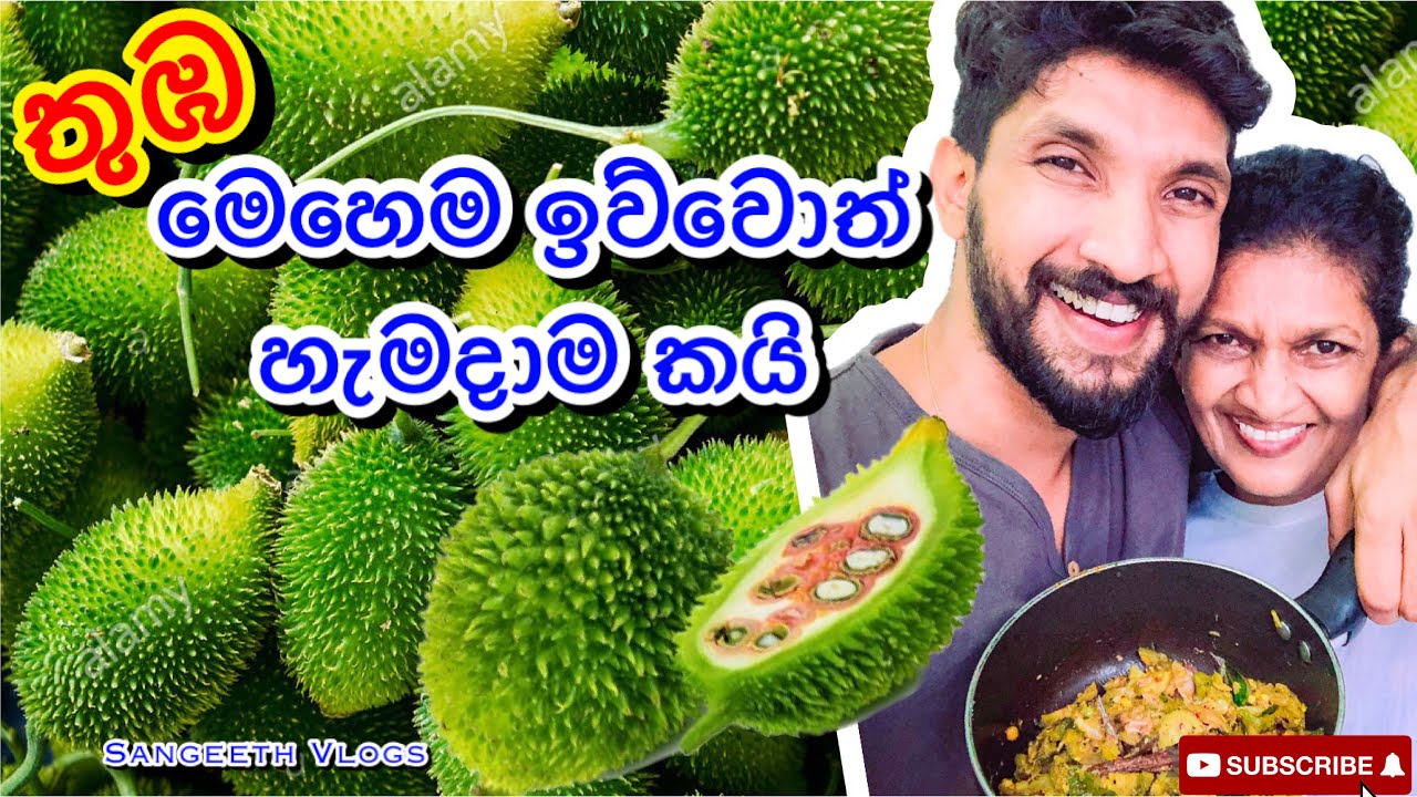 තුඹ කරවිල මෙහෙම ඉව්වොත් හැමදාම කයි|How to make Thumba karawila-Sangeeth Vlogs|Sangeeth Satharasinghe