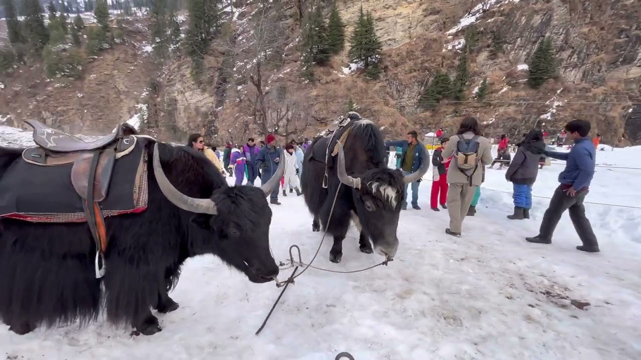 THE PERFECT manali Trip 2023 All tourist places