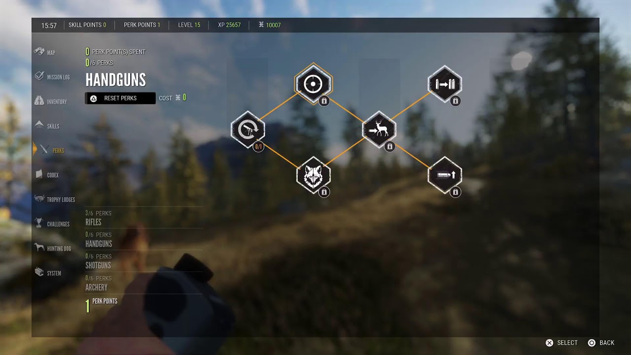 Thehunter call of the wild live gameplay