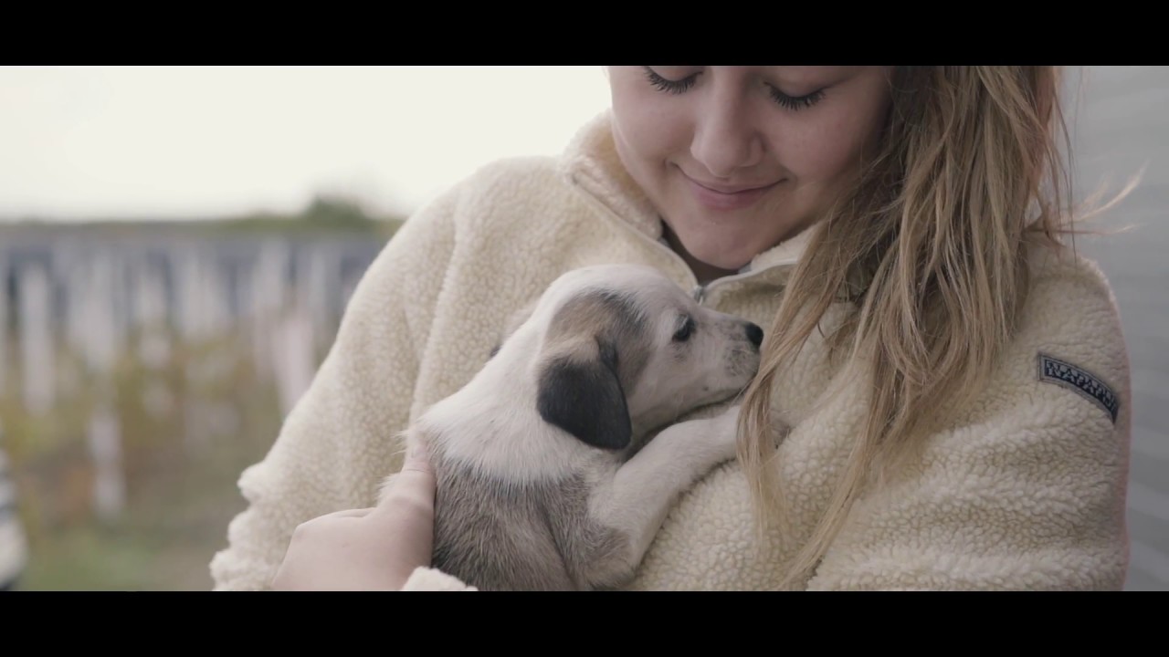Ukraine | Hope For Orphans