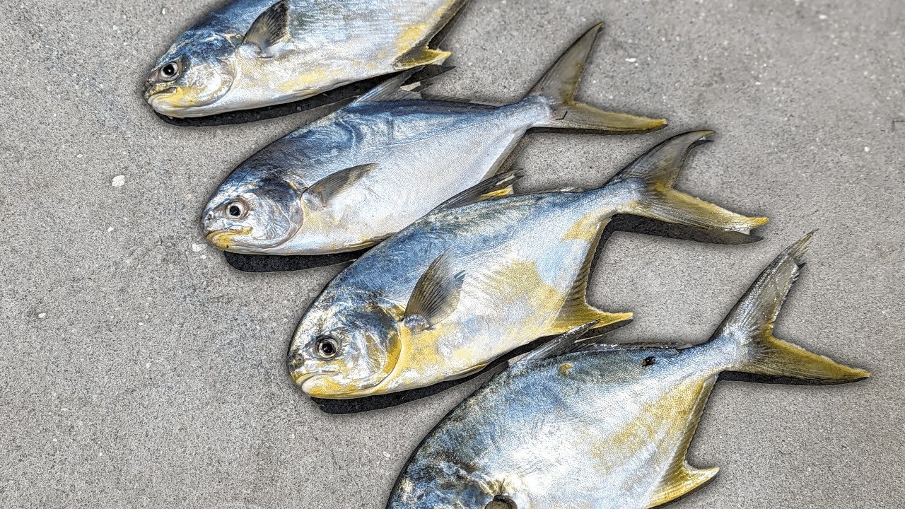 POMPANO Fishing Was TOUGH Until I Learned THIS! (How To Jig)