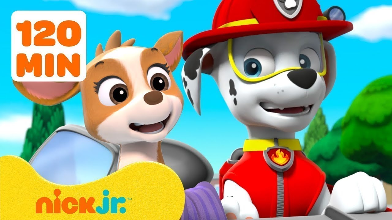 Patrulha Canina: Filhotes em Ação com Marshall #6 🦌 120 minutos | Nick Jr. em Português