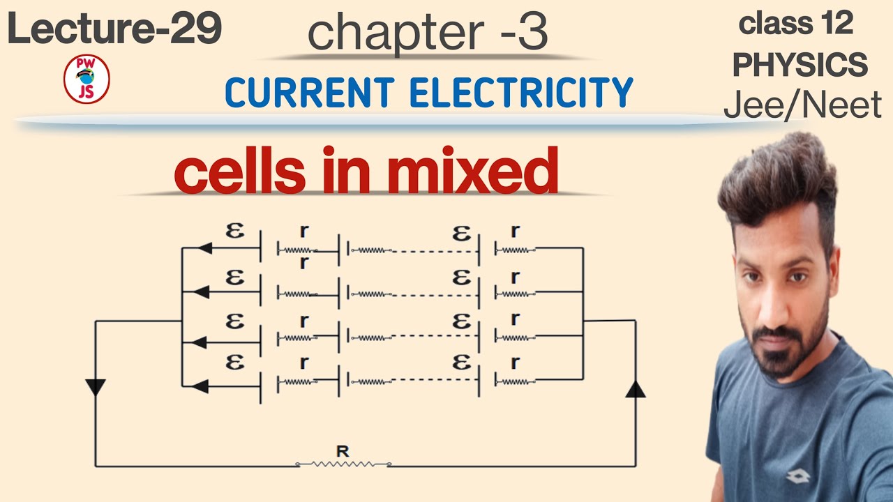 29.combination of cells in mixed | cells in mixed | grouping of cells in mixed | numericals