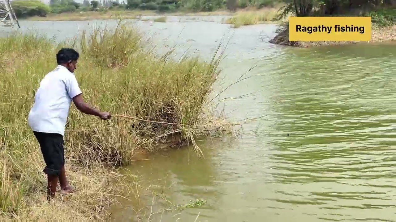 கம்பெனி அருகில் உள்ள எரியில் மீன் பிடிக்க வந்தோம் part -1 #ragathyfishing 