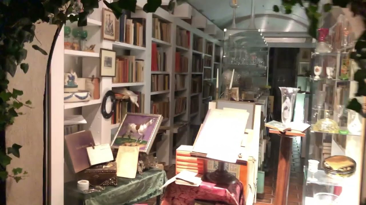 Vlog | Freiburg Night View | Friends Vloging