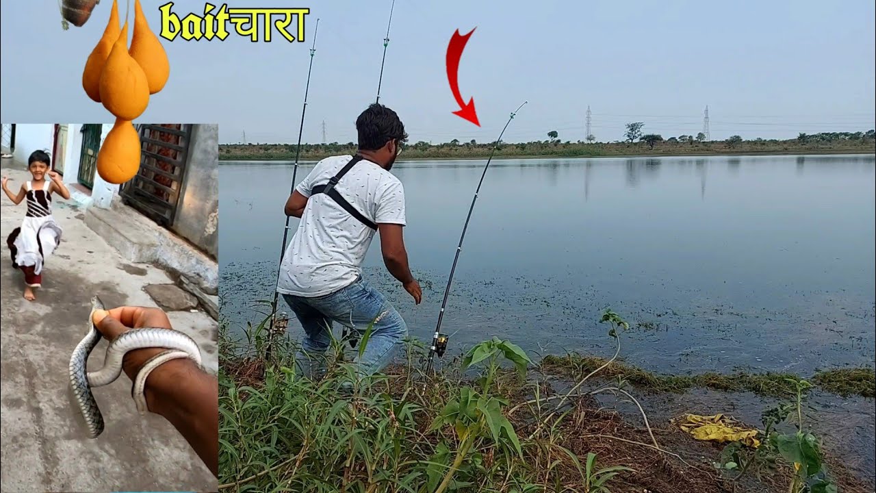 मैंने एक ही चारा bait से चार प्रकार की मछलियां पकडा है। Big mirgal 🐟 Katla, Tilapia🐠 singhi fishing