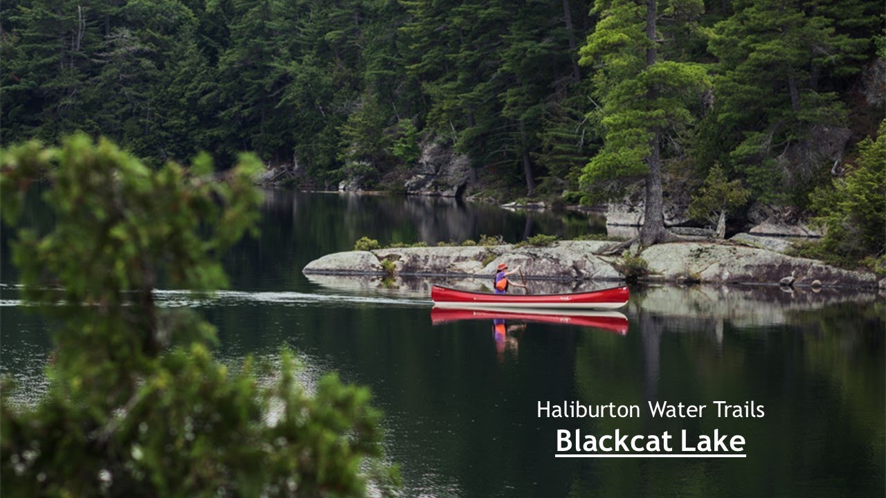 Blackcat Lake Loop - Haliburton Highlands