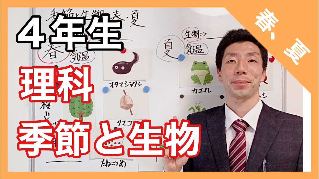 理科　　季節と生物～春、夏～　４年生