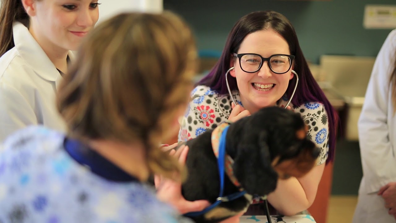 Veterinary Technician Program