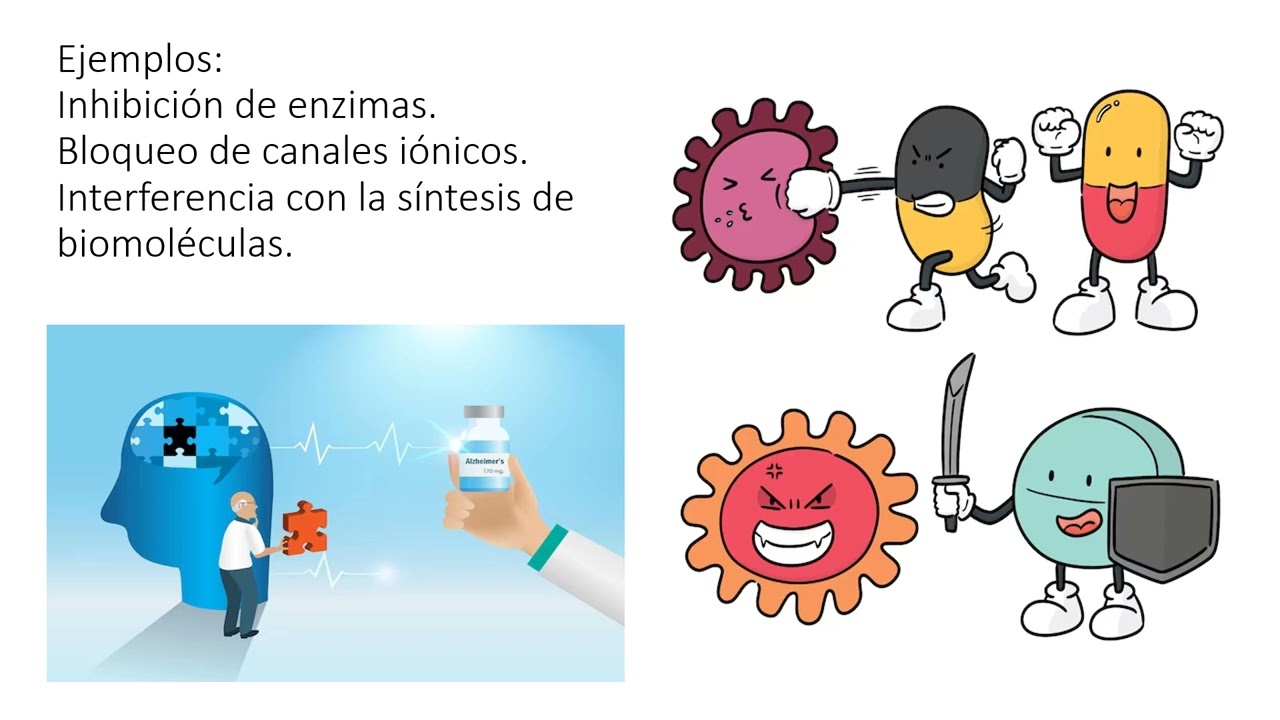 Accion y efecto farmacologico
