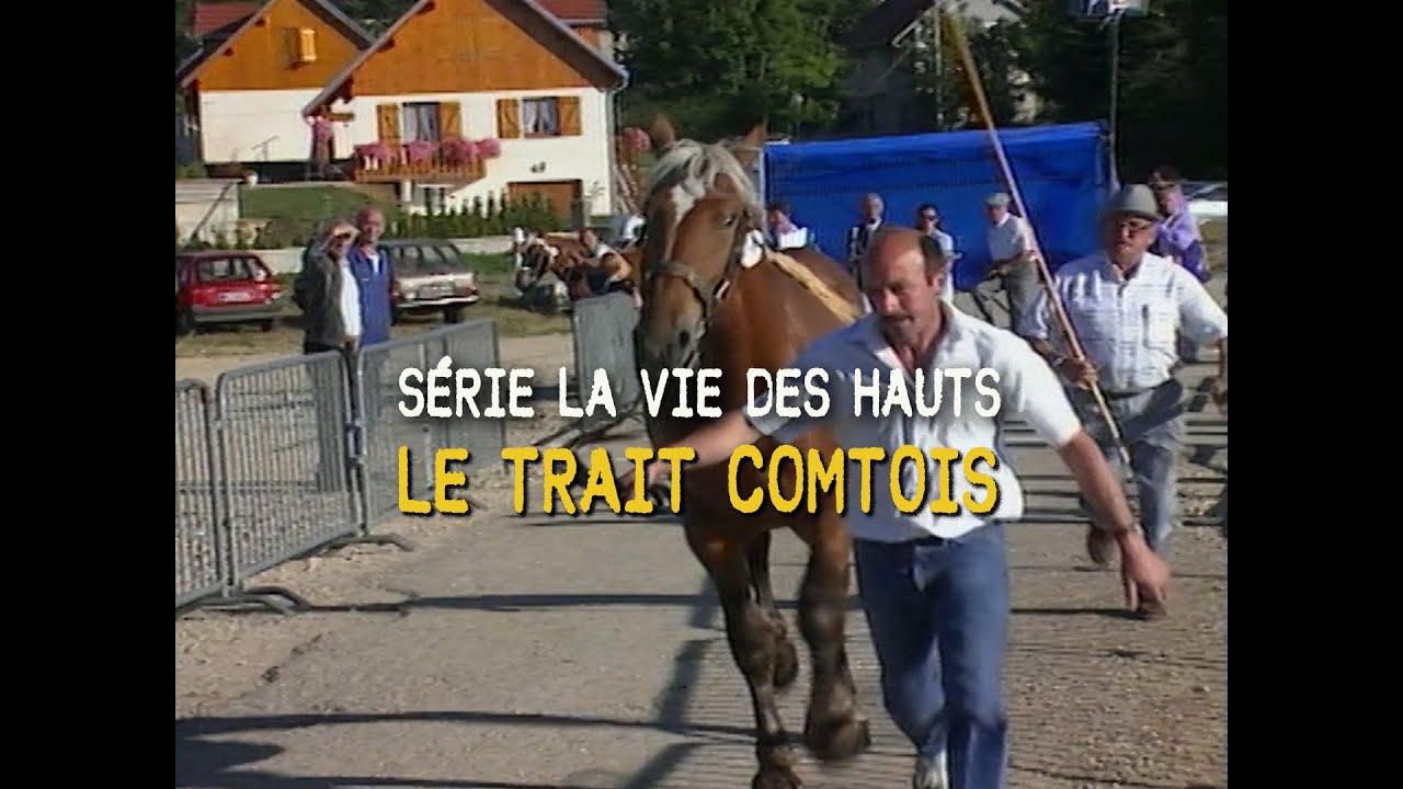 LE TRAIT COMTOIS | Archives | Télé Saugeais | 1990