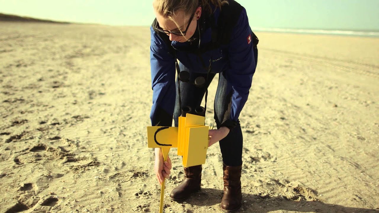 The Sand Motor - Passionate Research