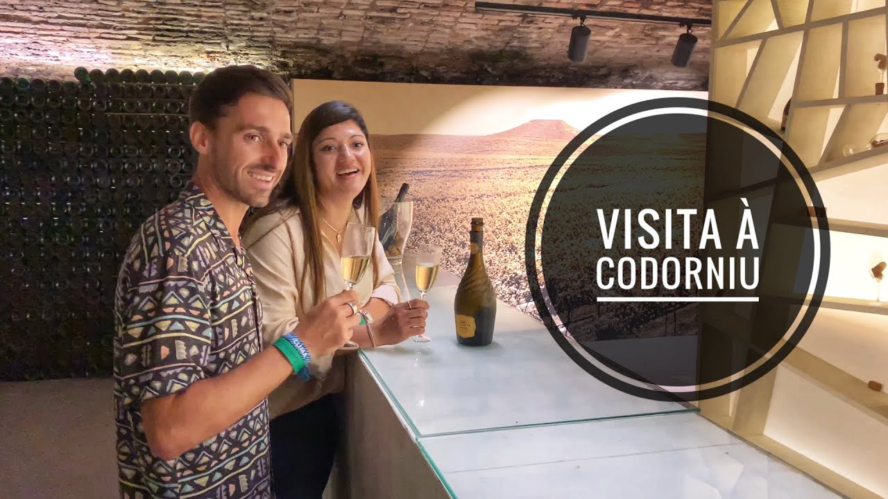 NOSSA VISITA À CODORNIU