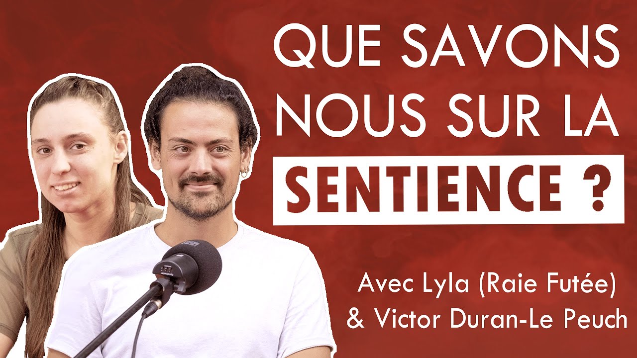 Que savons nous sur la Sentience ? - avec 