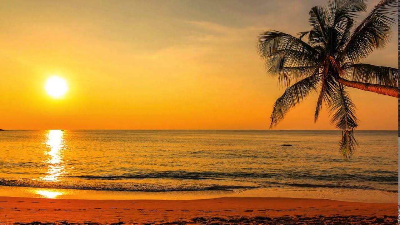 Chill out Music - Atardecer en la Playa: La Playlist Definitiva (Over 2 hours)