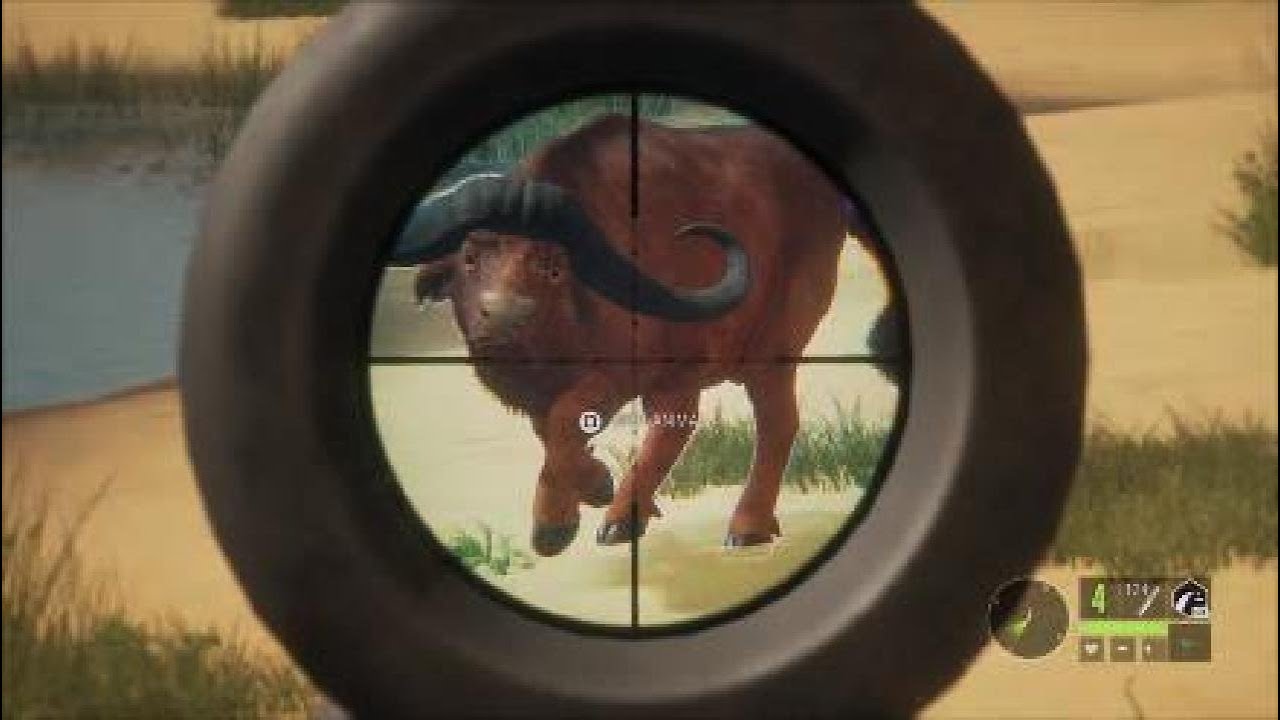 Film - CotW Cape Buffalo Hunt - 2024_9_3_10_43_35*