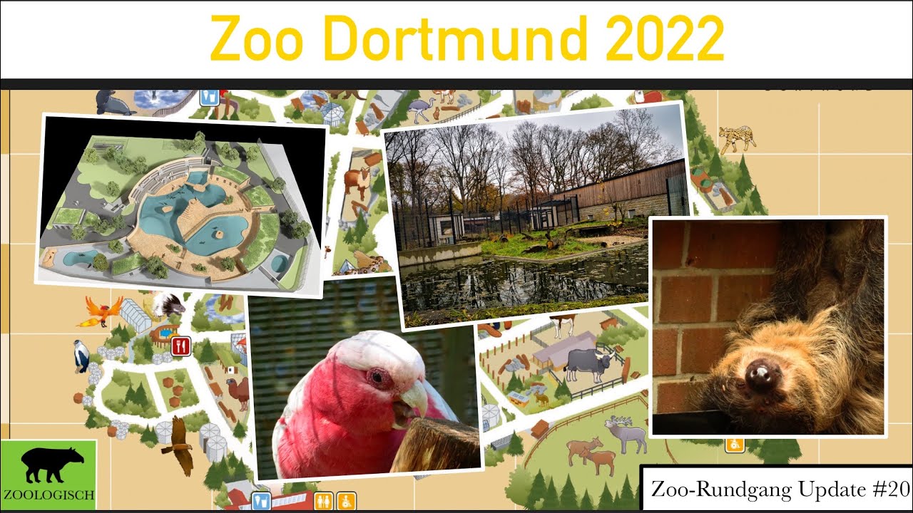Zoo Dortmund 2022: Das hat sich verändert | Zoo-Rundgang Update #02