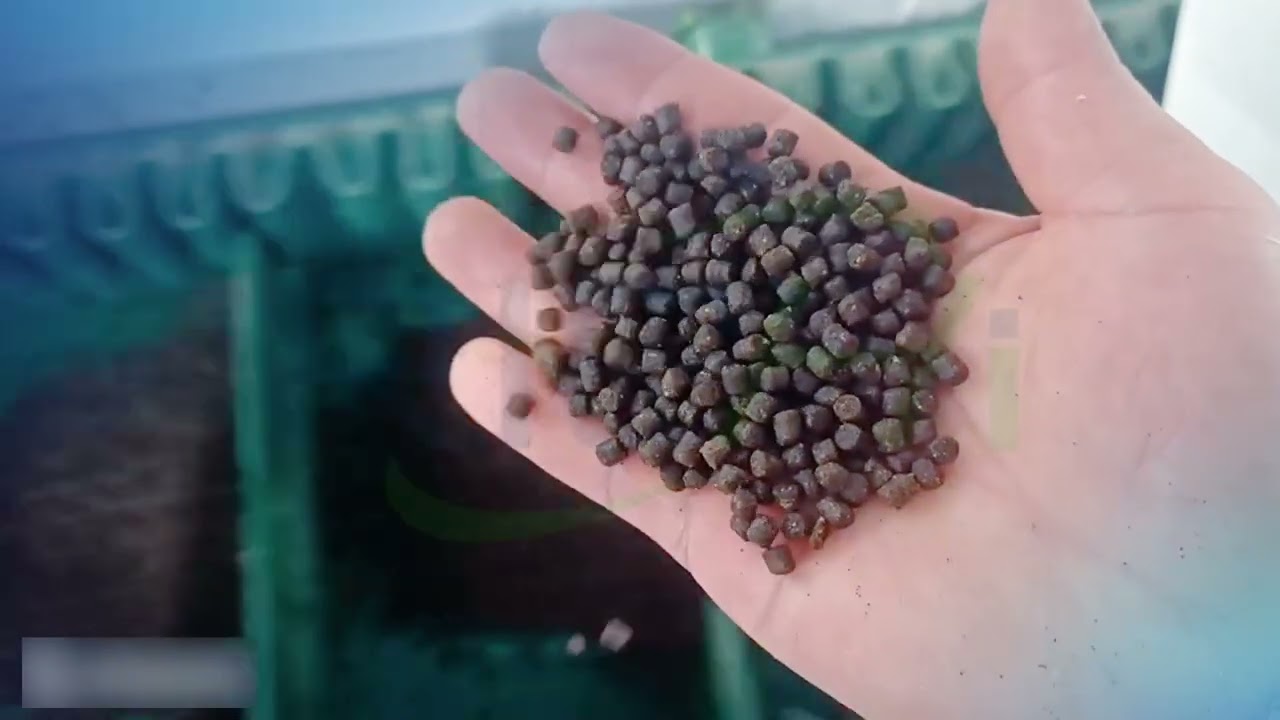 Complete Fish Feed Extruder Production Line in Action |  Fish Feed Extruder Machine Price Insights