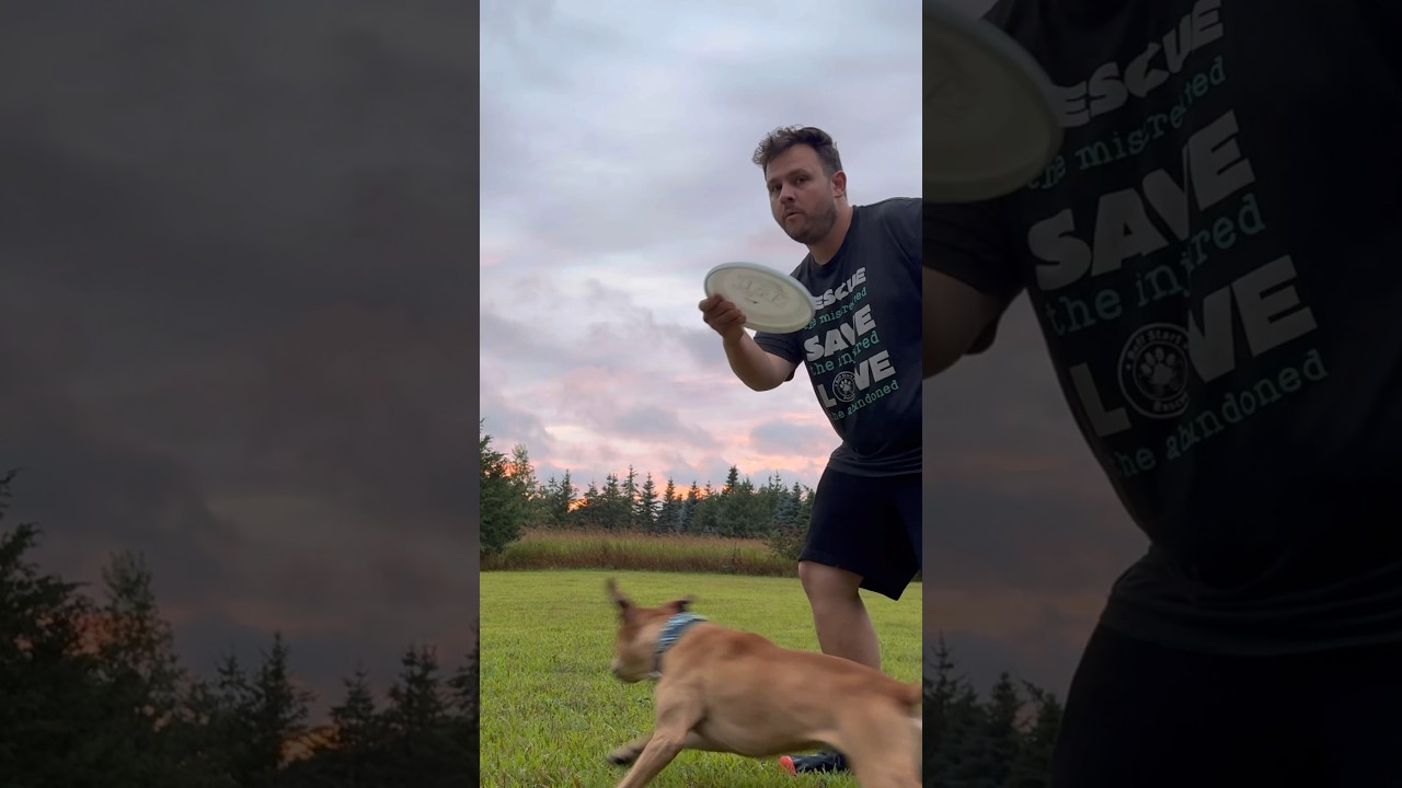 Some different backhand frisbee releases you might see in freestyle disc dog! 
