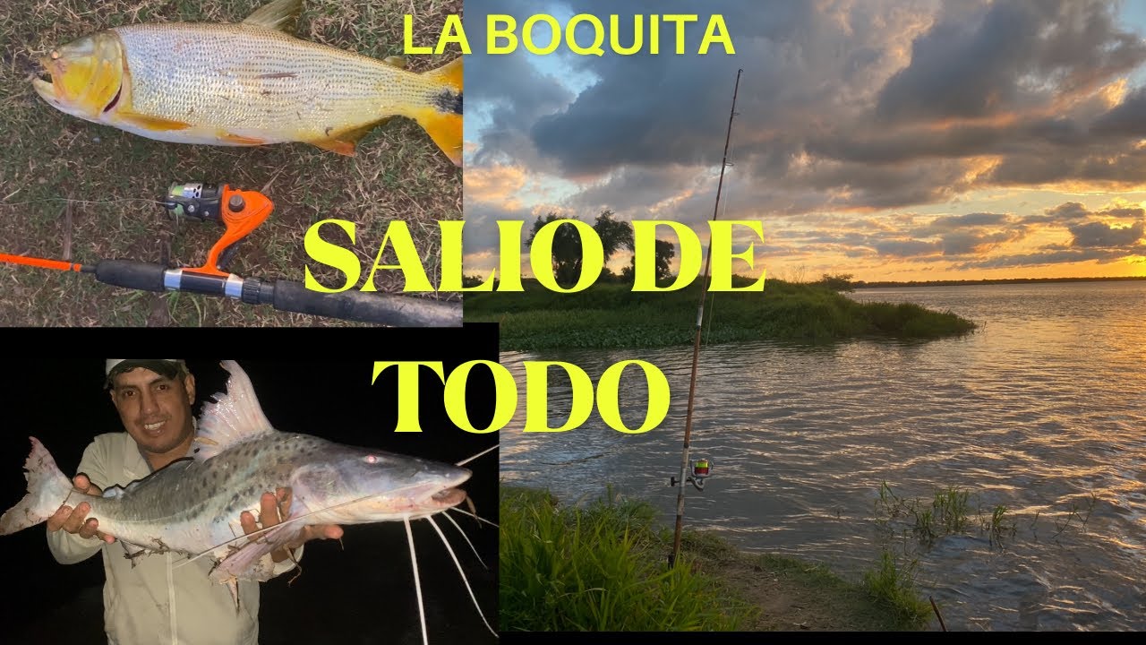 SALIO DE TODO !!! 😱DORADO🐠PATI GRANDE🐟 ,MANDURE,MANDUBI #goya #fishing #rioparana 