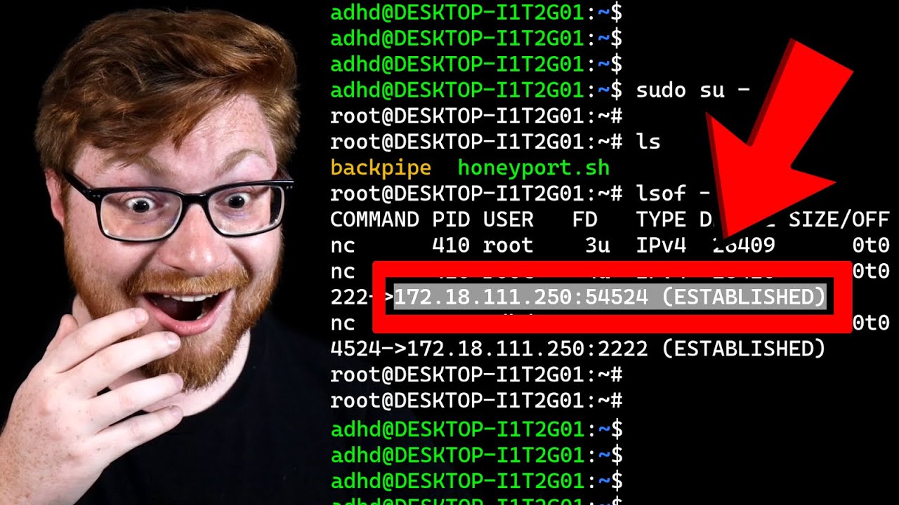 Cybersecurity Labs (FOR FREE) - Linux Backdoor Analysis