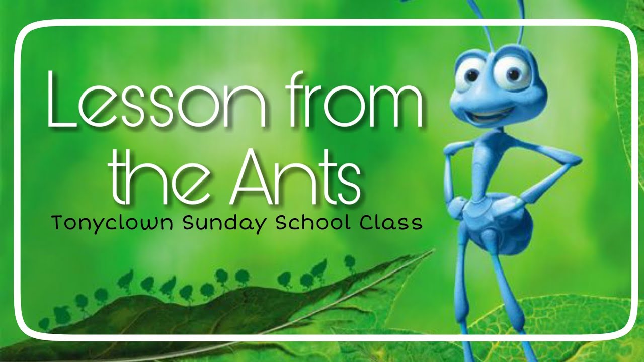 Lessons from the Ants – TonyClown Sunday School Class.