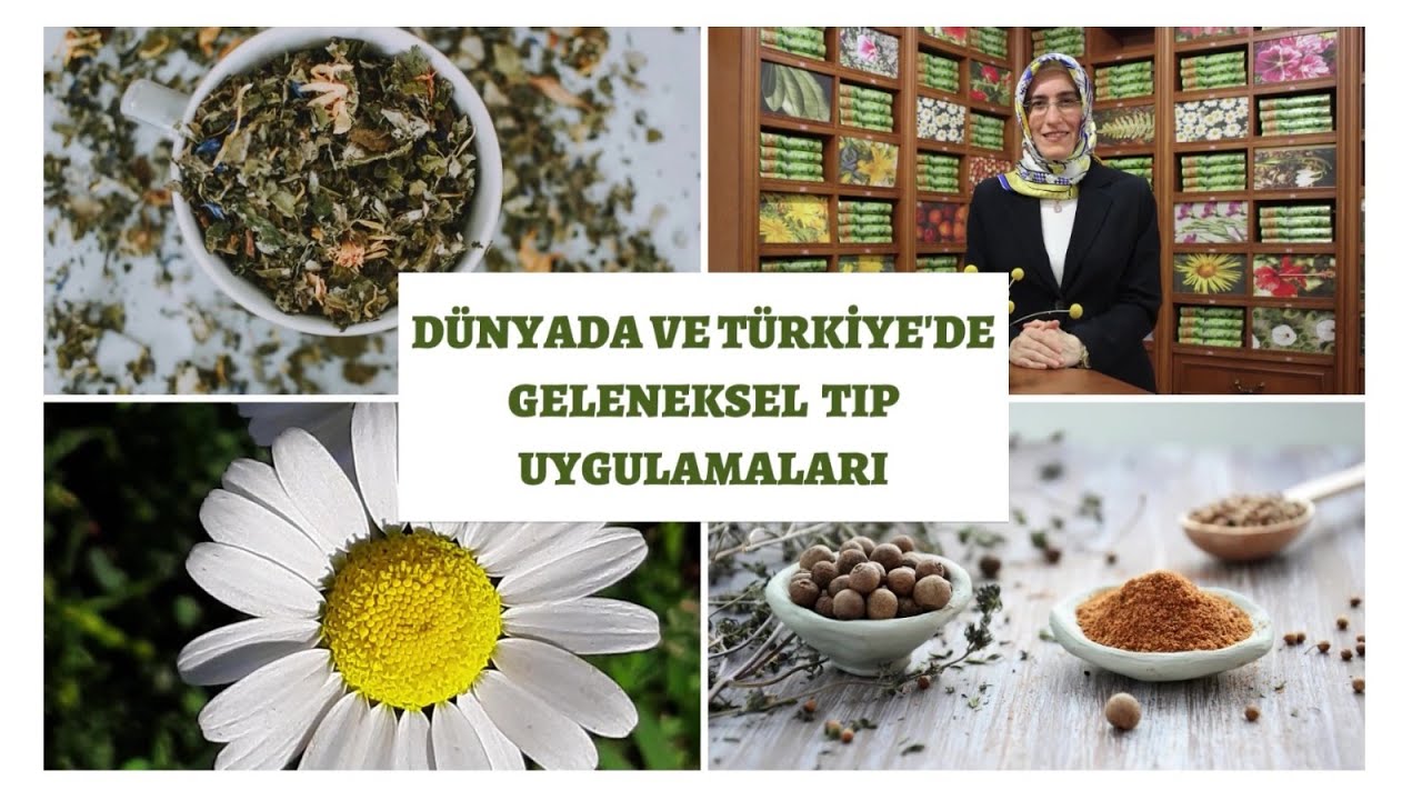Dünyada ve Türkiye'de Geleneksel ve Tamamlayıcı Tıp Uygulamaları | Zeynep GÜN
