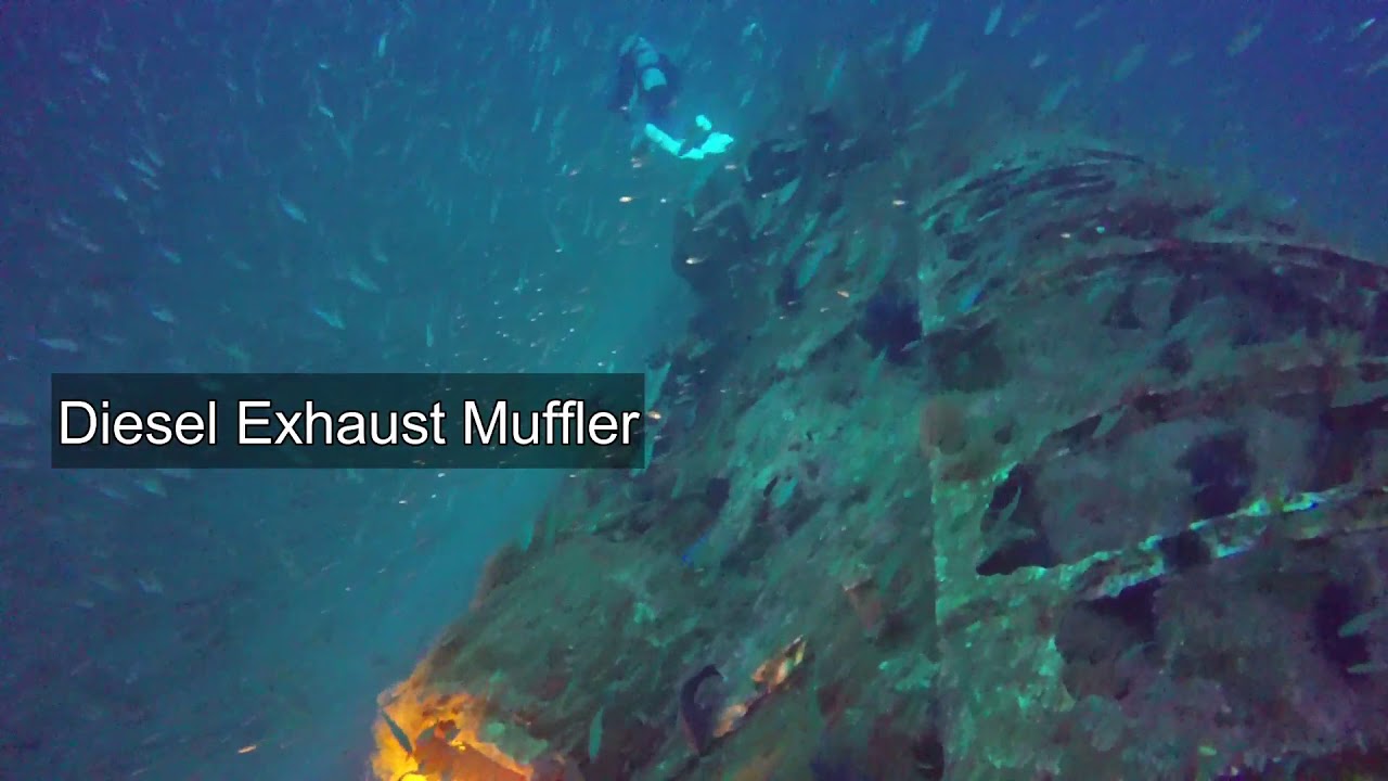 Wreck Dive on German U Boat U-352 off North Carolina